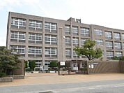 平岡南中学校（135m）