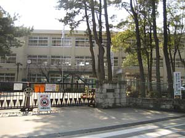 画像19:加古川市立浜の宮中学校（2974m）