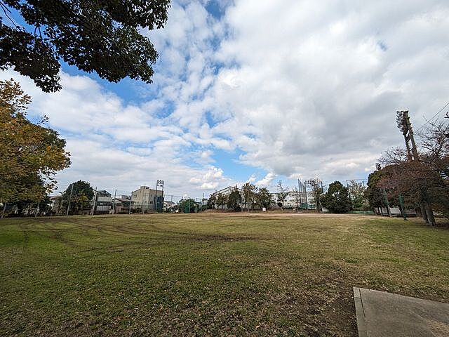 周辺 シャルマンフジスマート和歌山城公園　5階　3LDK 5階/-