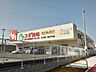 周辺：スギ薬局木場店まで1、904ｍ