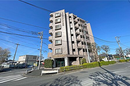 エンゼルハイム入谷南の外観(南東側から)