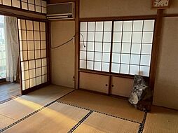 内装