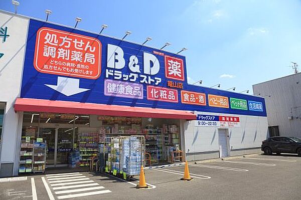 画像18:【ドラッグストア】B&Dドラッグストア 浅間町店まで282ｍ