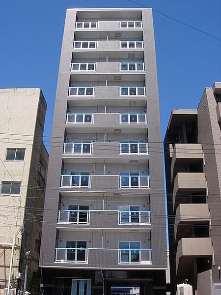 北海道札幌市白石区平和通2丁目南(賃貸マンション1LDK・10階・40.32㎡)の写真 その1