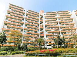 物件画像 若葉台団地1-11