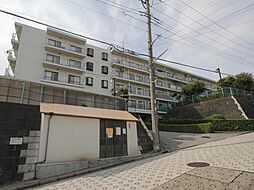 物件画像 パシフィック綱島