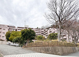 物件画像 コスモ綱島台3号館