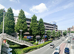 物件画像 東急ドエル・アルス大倉山東