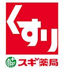 スギ薬局 大津富士見台店（266m）