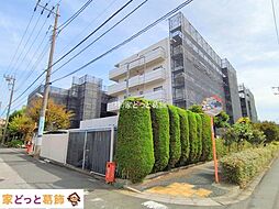 物件画像 いずみハイツ柴又