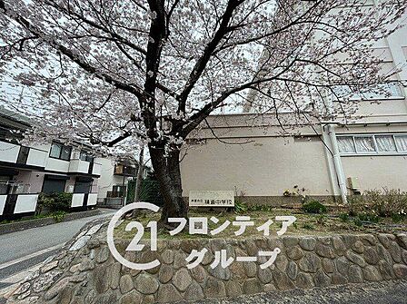 芦屋市立精道中学校 徒歩7分。 540m