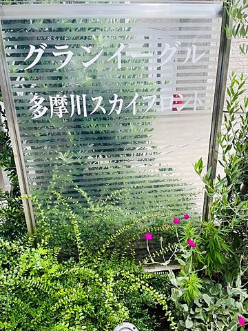  グランイーグル多摩川スカイフロント 2階/-