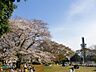 周辺：公園「駒沢オリンピック公園まで950m」