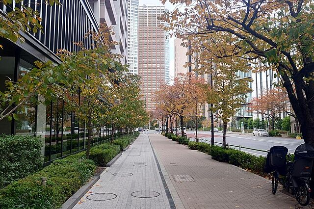 その他 ブランズタワー芝浦 32階/-