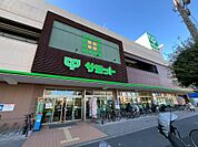サミット野沢龍雲寺店