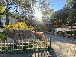 周辺施設の画像