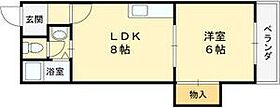 兵庫県西宮市田代町（賃貸アパート1LDK・1階・33.00㎡） その2