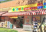 どらっぐぱぱす 東日暮里リーデンスタワー店（188m）