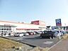 周辺：ドラッグストア サンドラッグあきる野店 755ｍ