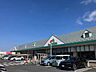 周辺：マルエツ幸手上高野店　約410ｍ