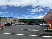 ドラッグエース小谷田店　約550ｍ