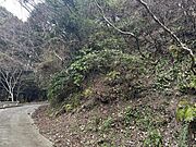 955番49付近現地写真