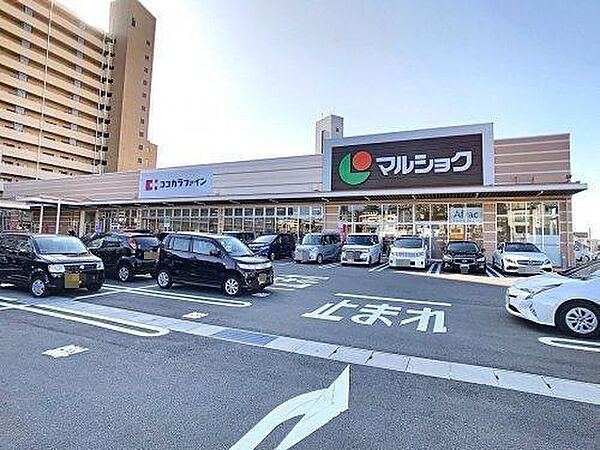 マルショク東駅店(857m)