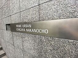 6 / 25