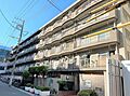 東京メトロ半蔵門線 錦糸町駅 徒歩6分の賃貸マンション