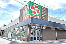 ライフ桜ノ宮店 徒歩8分。 570m