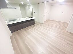 グランドレッセ今里 2LDKの写真