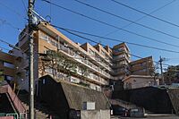 神奈川県横浜市神奈川区白幡南町：物件画像