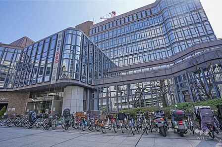 中央区役所の外観