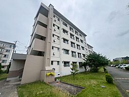 物件画像 稲毛海岸三丁目団地