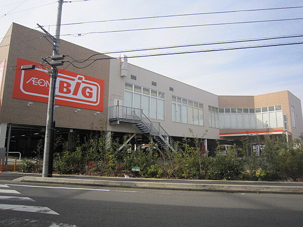 画像14:ザ・ビッグ 相模原東橋本店（227m）