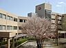 周辺：私立東京家政学院大学（6274m）