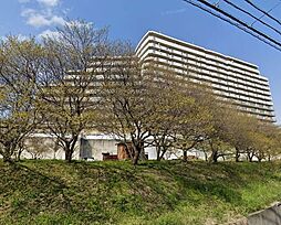 物件画像 パレス朝霧