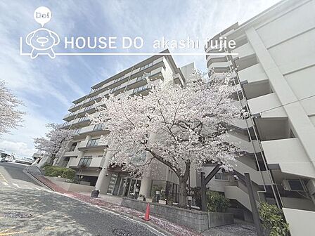 穏やかな街で、家族の時間を育てる　静かな住宅地で、家族の時間をゆっくりと