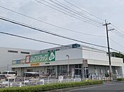 ジップドラッグ　今国府店まで1700メートル
