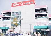 周辺環境-スーパー(450m)ロヂャース 越谷店