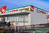 周辺：周辺環境-ドラッグストア(160m)スギ薬局 ヤオコー岩槻本丸店