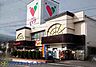 周辺：周辺環境-スーパー(700m)コモディイイダ　三郷店