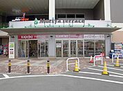 カスミフードスクエア守谷テラス店