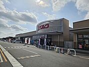 ベルク フォルテつくば店