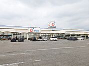 カワチ薬品伊勢崎店 1022m