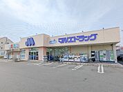 マルエドラッグ高崎新保店 696m