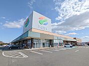 フレッセイ大利根店 196m