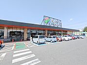 FRESSAY(フレッセイ)倉賀野西店 1501m