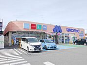 マルエドラッグ玉村福島店 2979m