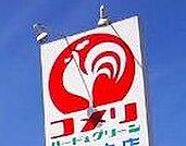 コメリハード＆グリーン深谷店 1201m